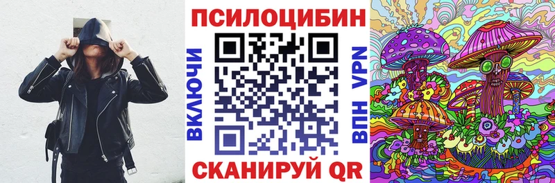 купить закладку  Белый  Галлюциногенные грибы Cubensis 